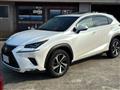 2019 Lexus NX