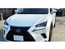 2019 Lexus NX