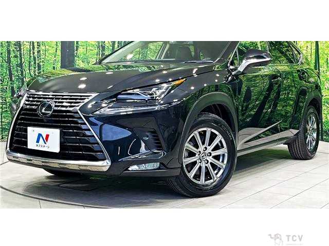 2019 Lexus NX