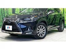 2019 Lexus NX