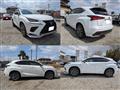 2019 Lexus NX