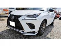 2019 Lexus NX