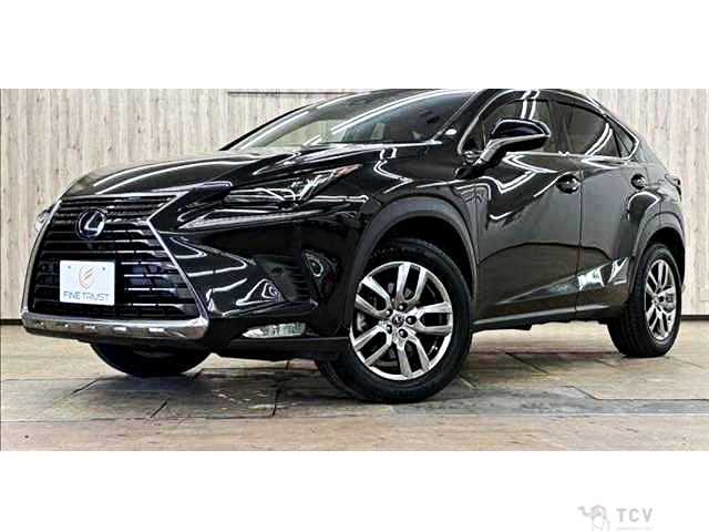 2019 Lexus NX