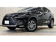 2019 Lexus NX