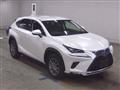 2019 Lexus NX