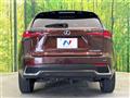 2019 Lexus NX