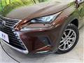 2019 Lexus NX