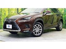2019 Lexus NX