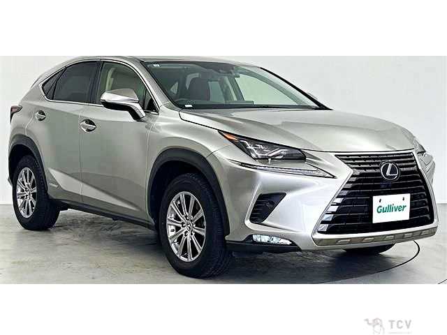 2019 Lexus NX