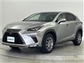 2019 Lexus NX