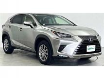 2019 Lexus NX