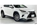2019 Lexus NX