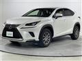 2019 Lexus NX