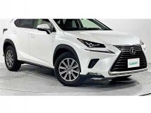 2019 Lexus NX