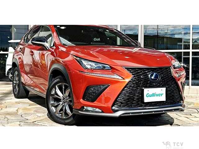 2019 Lexus NX