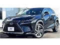 2019 Lexus NX