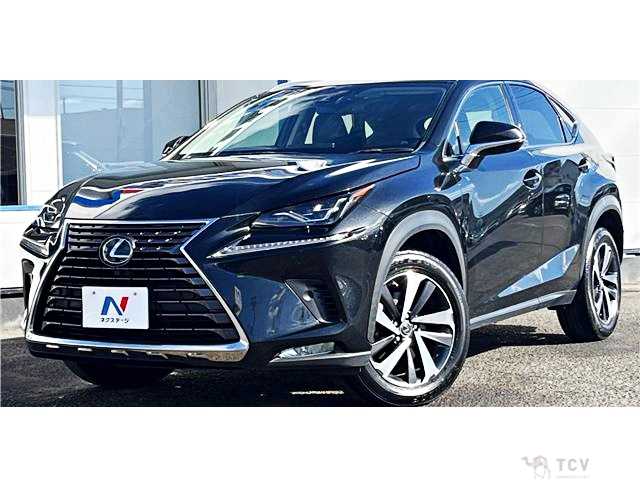 2019 Lexus NX