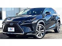 2019 Lexus NX