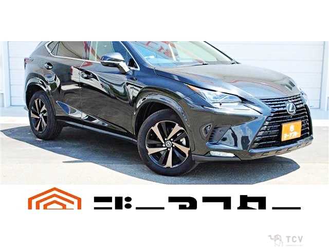 2019 Lexus NX