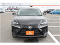 2019 Lexus NX