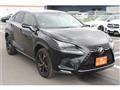 2019 Lexus NX