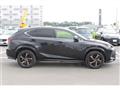2019 Lexus NX