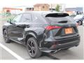 2019 Lexus NX