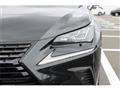 2019 Lexus NX