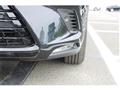 2019 Lexus NX
