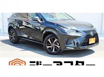 2019 Lexus NX