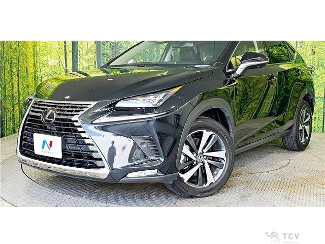 2019 Lexus NX