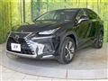 2019 Lexus NX