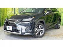 2019 Lexus NX