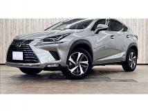2019 Lexus NX