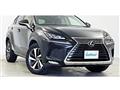 2019 Lexus NX