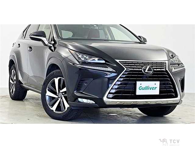 2019 Lexus NX
