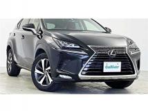 2019 Lexus NX