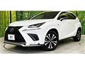 2019 Lexus NX