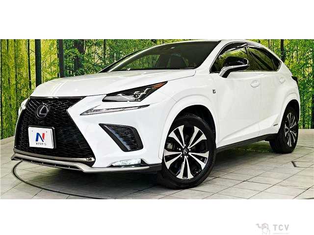 2019 Lexus NX