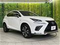 2019 Lexus NX