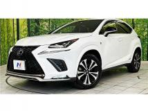 2019 Lexus NX