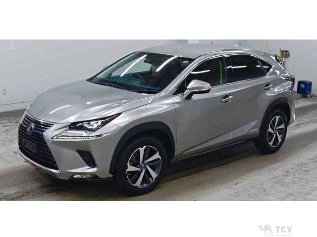 2019 Lexus NX