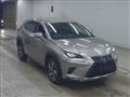 2019 Lexus NX