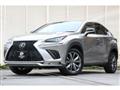 2019 Lexus NX