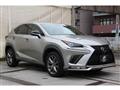2019 Lexus NX