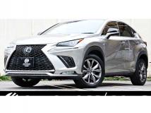 2019 Lexus NX