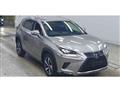 2019 Lexus NX