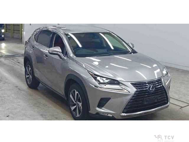 2019 Lexus NX