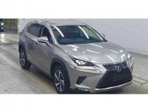 2019 Lexus NX