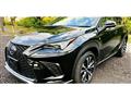 2019 Lexus NX